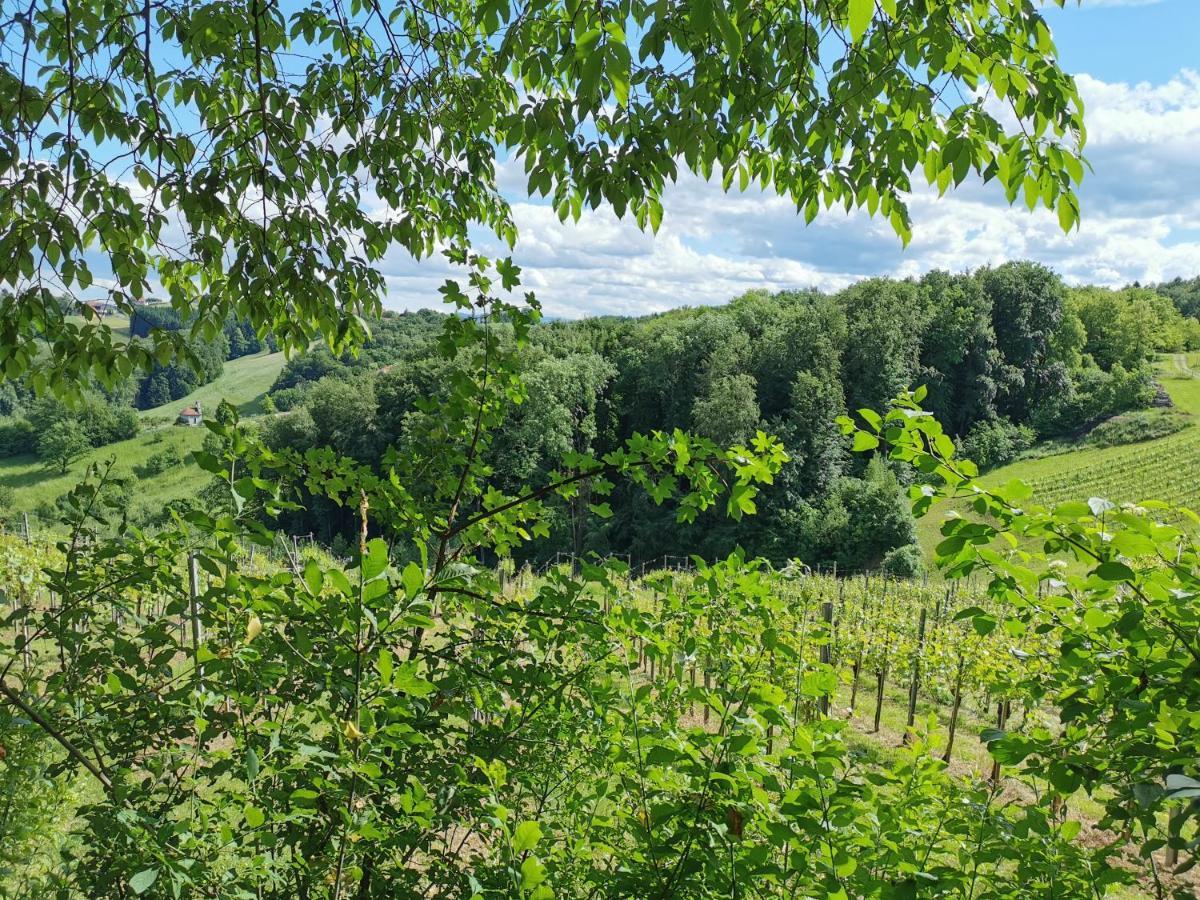 فيلا Weingut Assigal ليبنيتز المظهر الخارجي الصورة