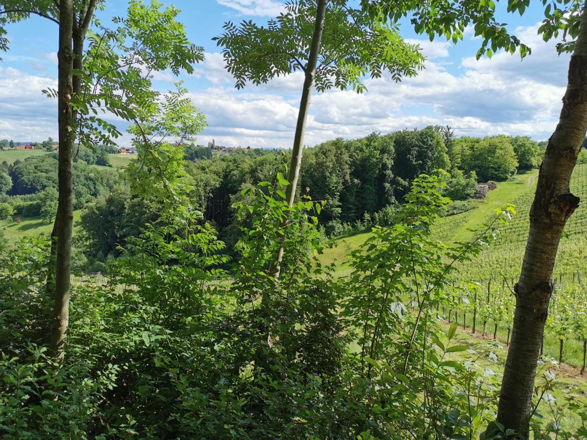 فيلا Weingut Assigal ليبنيتز المظهر الخارجي الصورة