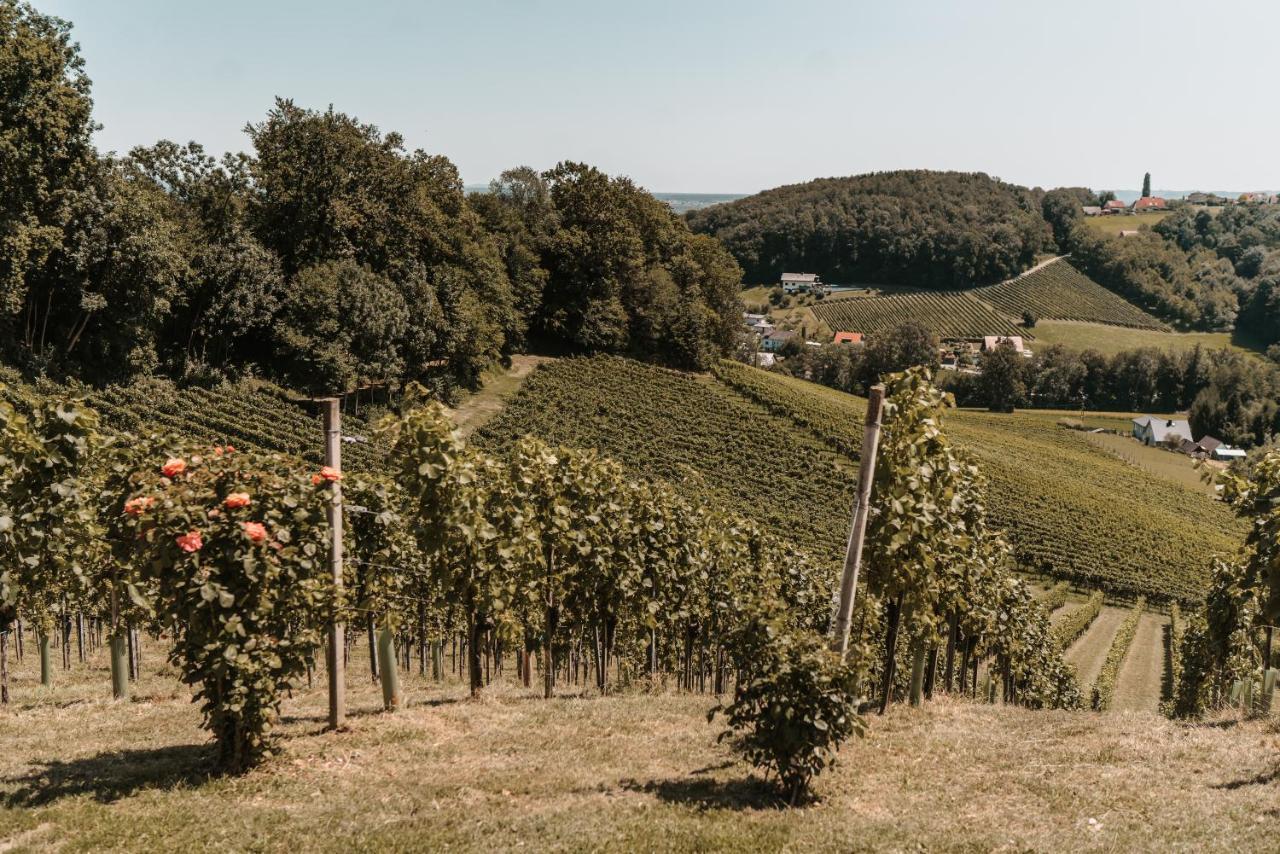 فيلا Weingut Assigal ليبنيتز المظهر الخارجي الصورة