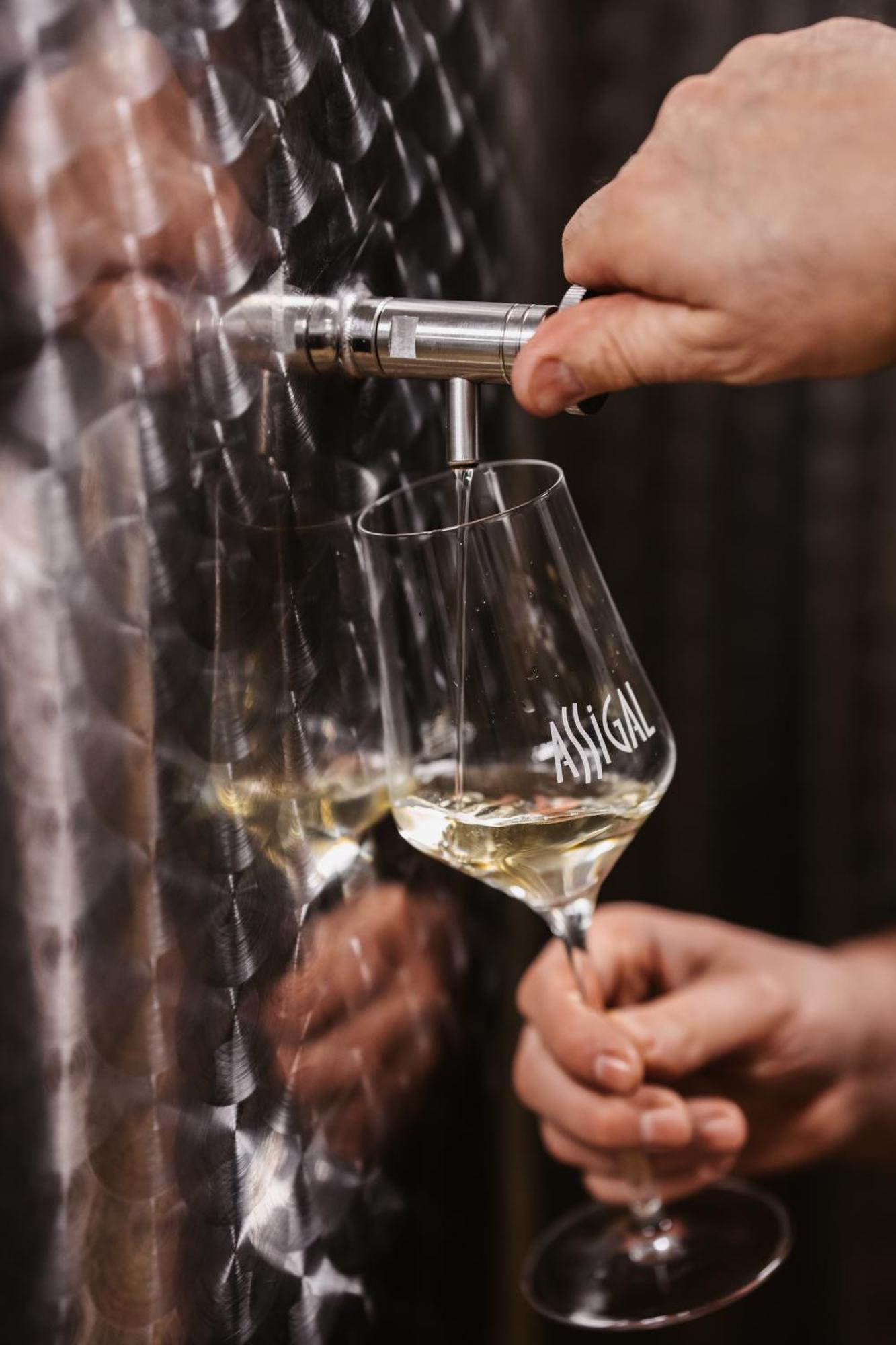 فيلا Weingut Assigal ليبنيتز المظهر الخارجي الصورة