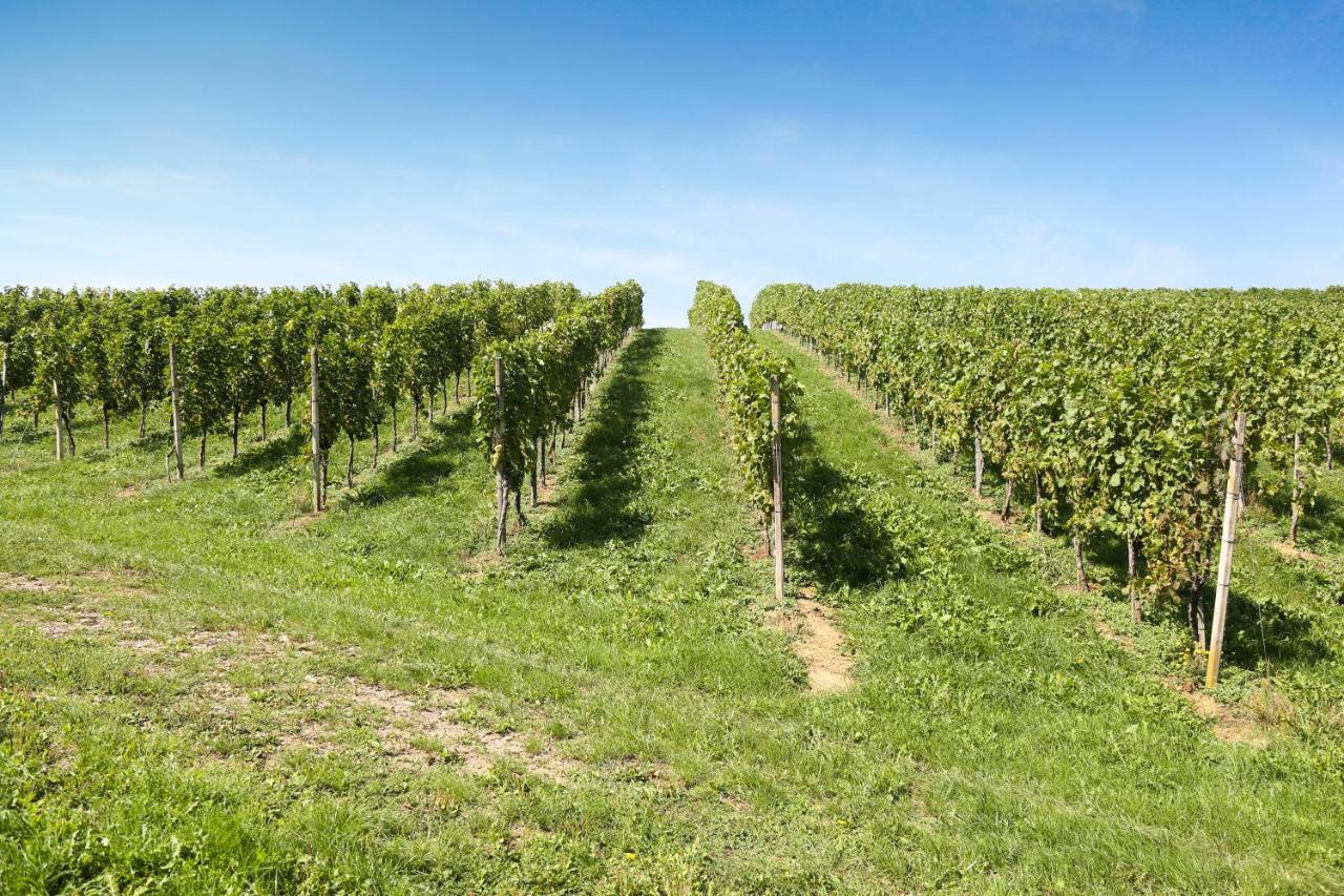 فيلا Weingut Assigal ليبنيتز المظهر الخارجي الصورة
